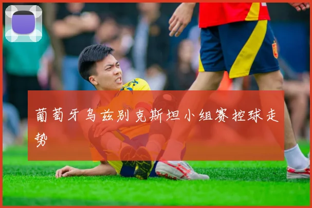 【开云电子官网】葡萄牙乌兹别克斯坦小组赛控球走势