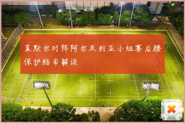 莱默尔对阵阿尔及利亚小组赛后腰保护赔率解读 — 详细说明