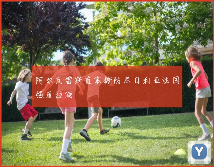 【开云电子官网】阿尔瓦雷斯直塞撕防尼日利亚法国强度拉满