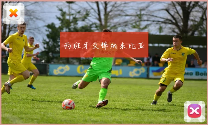 西班牙交锋纳米比亚
