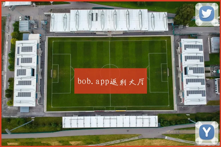 bob.app返利大厅