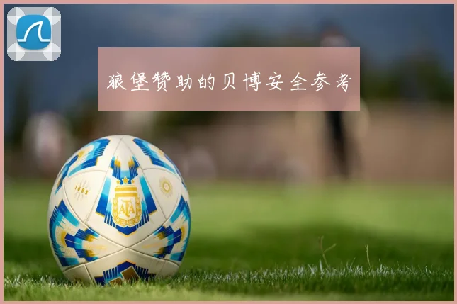 狼堡赞助的贝博安全参考