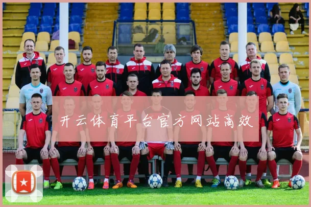 开云体育平台官方网站高效
