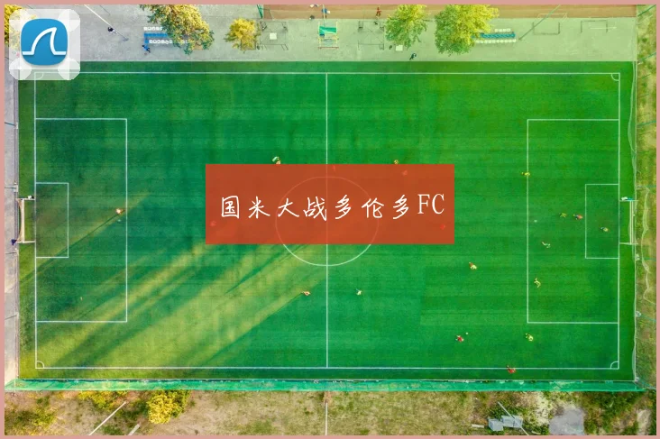 国米大战多伦多FC