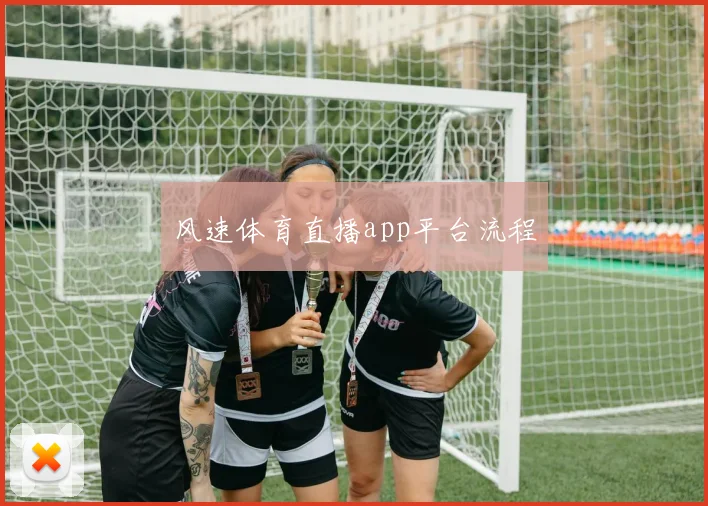 风速体育直播app平台流程
