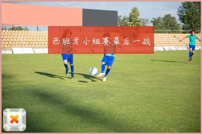 西班牙小组赛最后一战