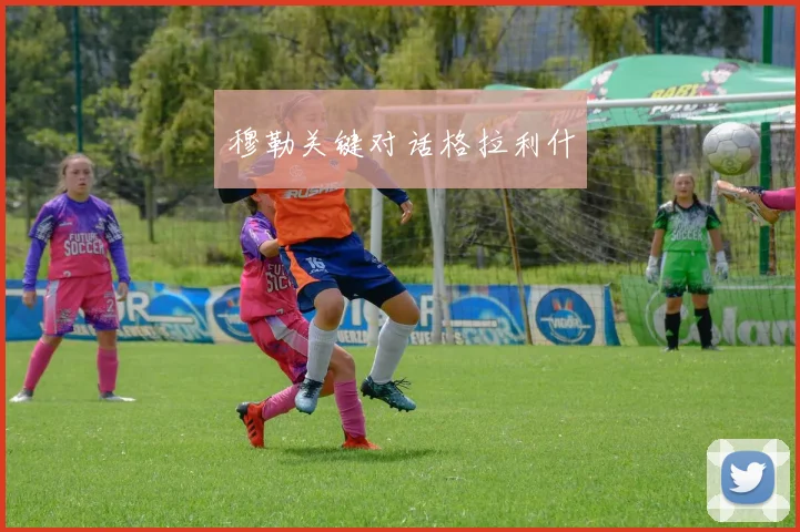 穆勒关键对话格拉利什