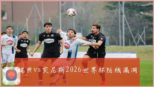关于「瑞典vs突尼斯2026世界杯防线漏洞」