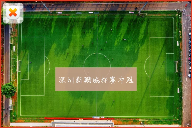 深圳新鹏城杯赛冲冠
