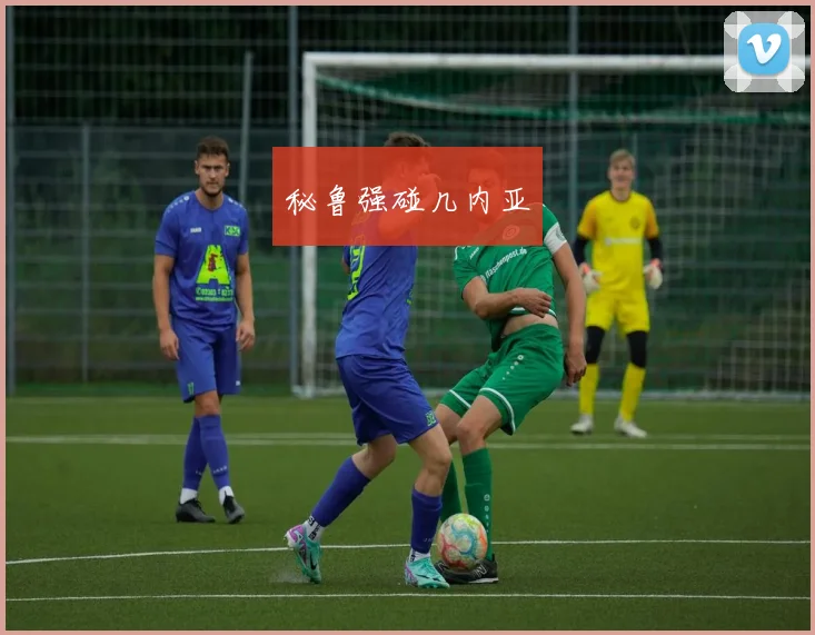 秘鲁强碰几内亚