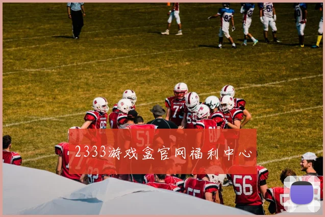 2333游戏盒官网福利中心