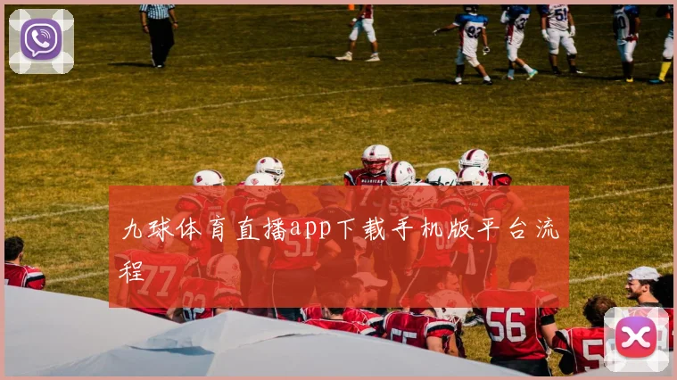 九球体育直播app下载手机版平台流程
