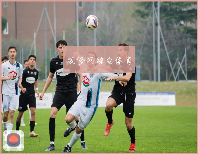 装修网综合体育