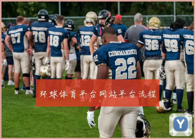 环球体育平台网站平台流程