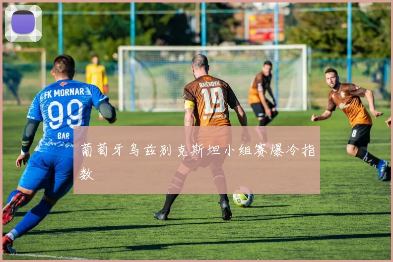 【开云电子官网】葡萄牙乌兹别克斯坦小组赛爆冷指数