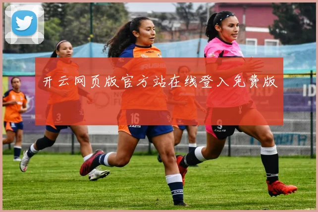 开云网页版官方站在线登入免费版