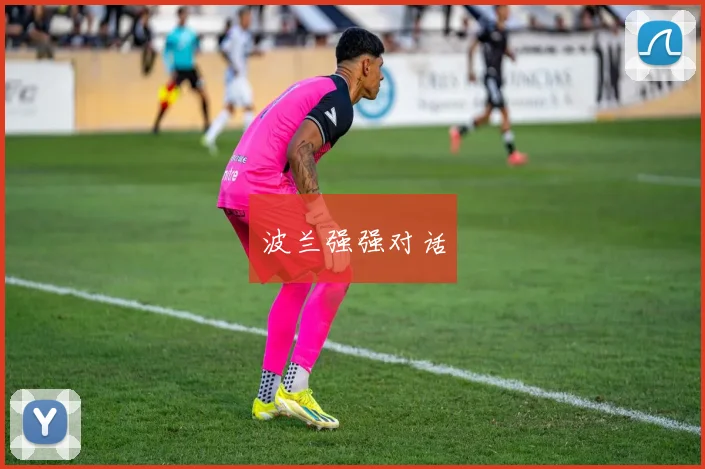 波兰强强对话