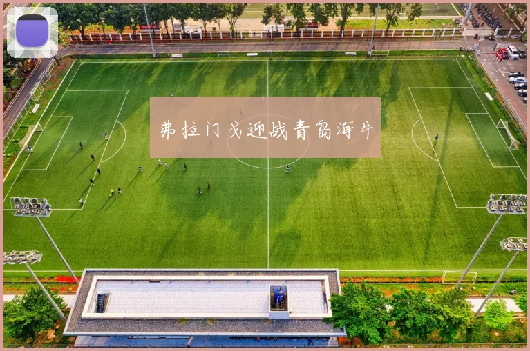 弗拉门戈迎战青岛海牛