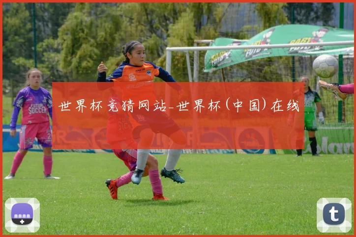 世界杯竞猜网站_世界杯(中国)在线