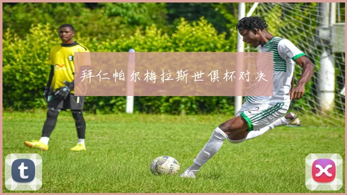 拜仁帕尔梅拉斯世俱杯对决