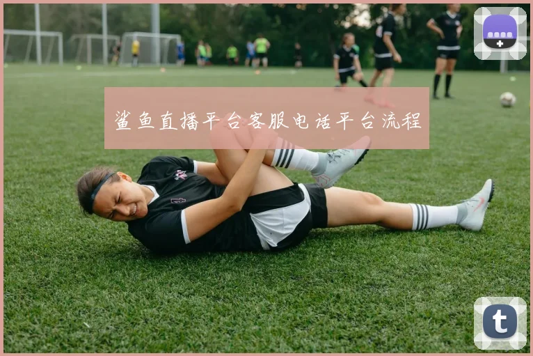 鲨鱼直播平台客服电话平台流程