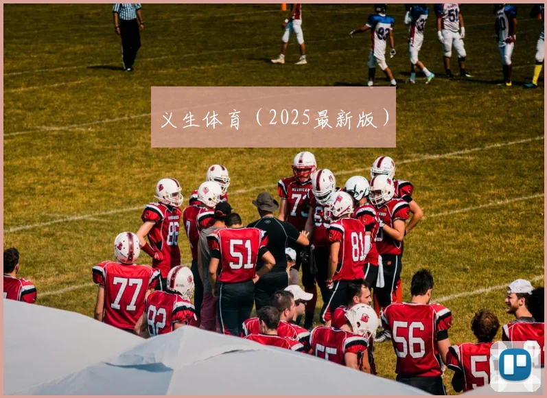义生体育（2025最新版）