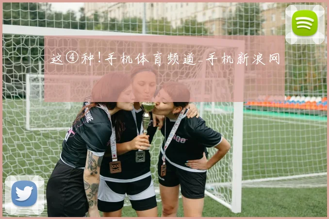 这④种!手机体育频道_手机新浪网