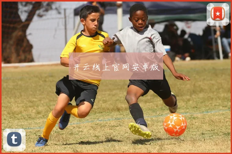 开云线上官网安卓版