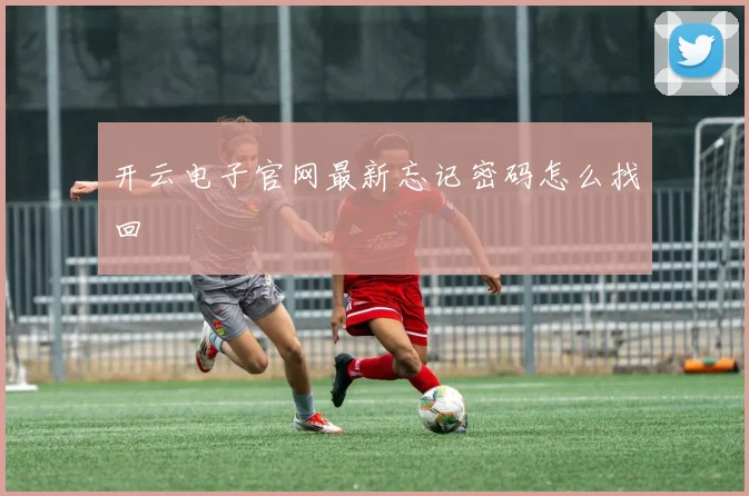 开云电子官网最新忘记密码怎么找回